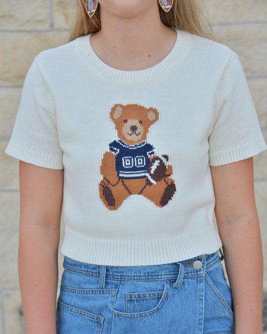 Tailgate Teddy Sweater - Blue