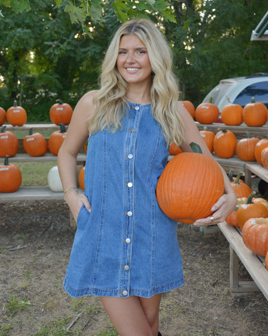 Main Arena Denim Dress