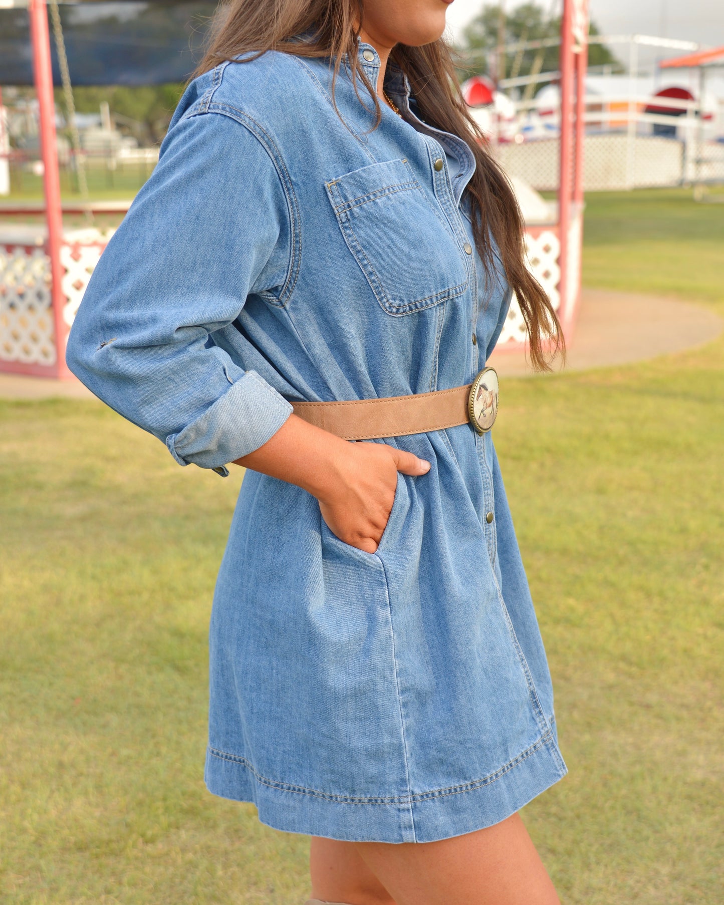 Ferris Wheel Whirl Dress