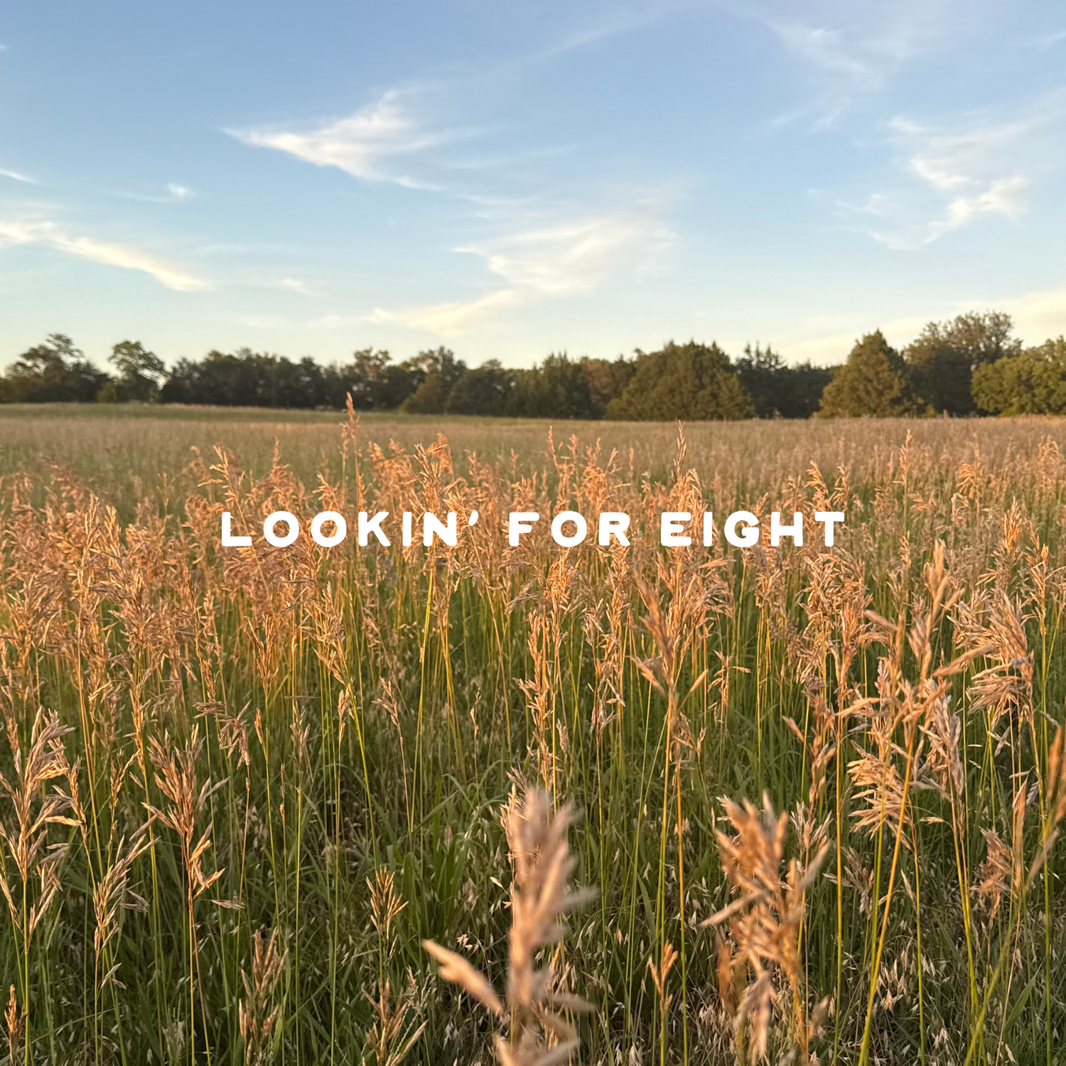 Lookin' For Eight