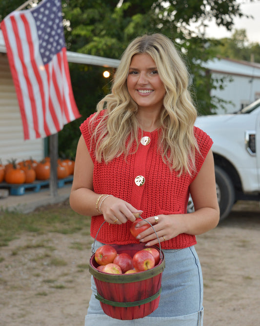 Round Up Knit Vest
