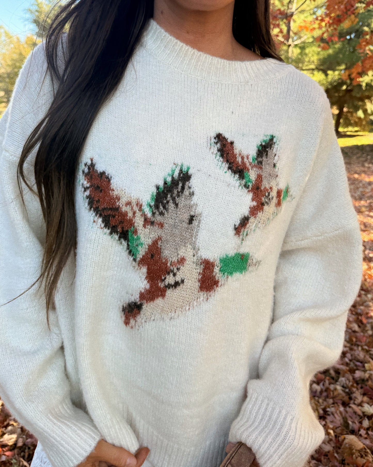 Wild Wings Sweater